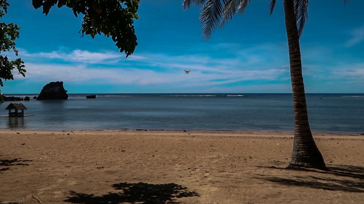 twin rock beach and palm trees in catanduanes philippines